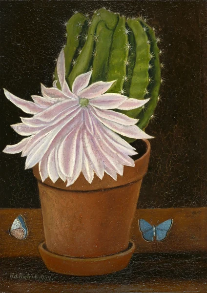 Adolf Dietrich — Kaktus mit Schmetterlingen, 1949