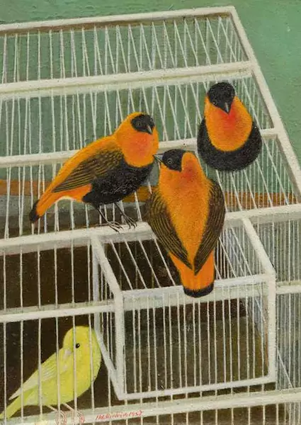 ADOLF DIETRICH — Feuerweberkäfig. 1953. — Koller Auktionen