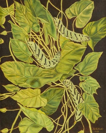 Raupen, 1938