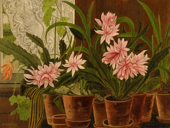 Adolf Dietrich — Rosa Kakteen am Fenster, 1941