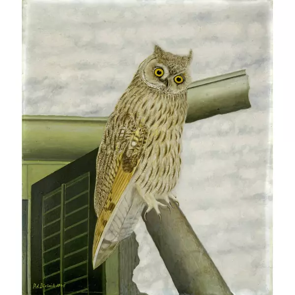 Adolf Dietrich — Eule im Winter — Galerie Kornfeld