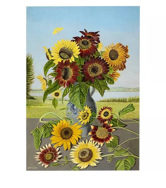 Adolf Dietrich — Sonnenblumenstrauss mit Zitronenfalter — Galerie Kornfeld