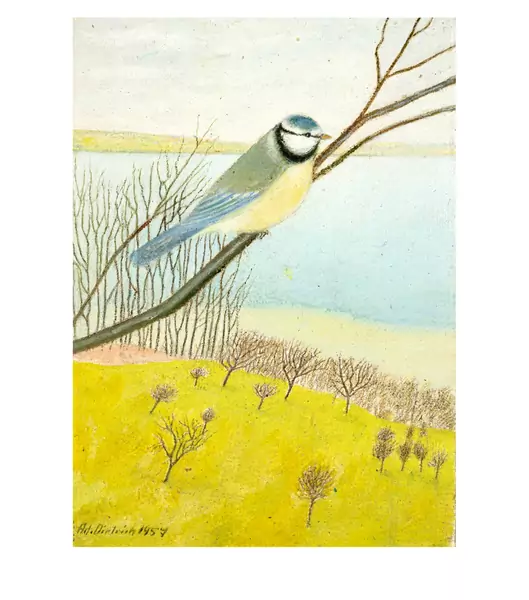 Adolf Dietrich — Blaumeise auf kahlem Zweig — Galerie Kornfeld