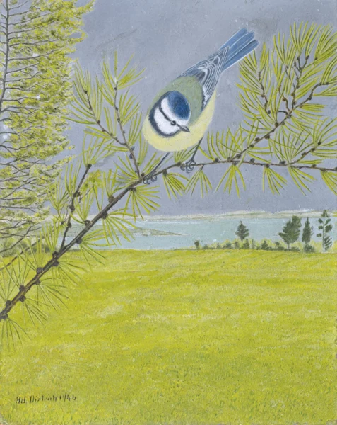 Adolf Dietrich — BLAUMEISE AUF LÄRCHENZWEIG, 1946BLUE TIT ON A BRANCH OF A LARCH, 1946