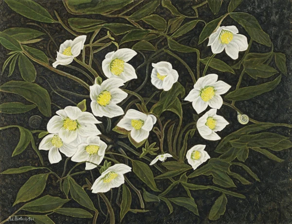 Adolf Dietrich — Christrosen, 1941