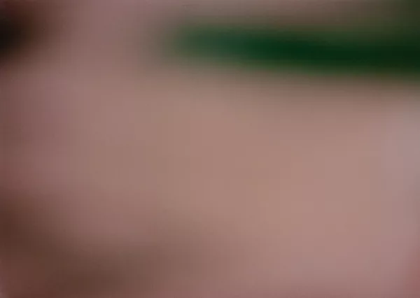 Adrian Schiess — 2 Werke: Ohne Titel, 1995