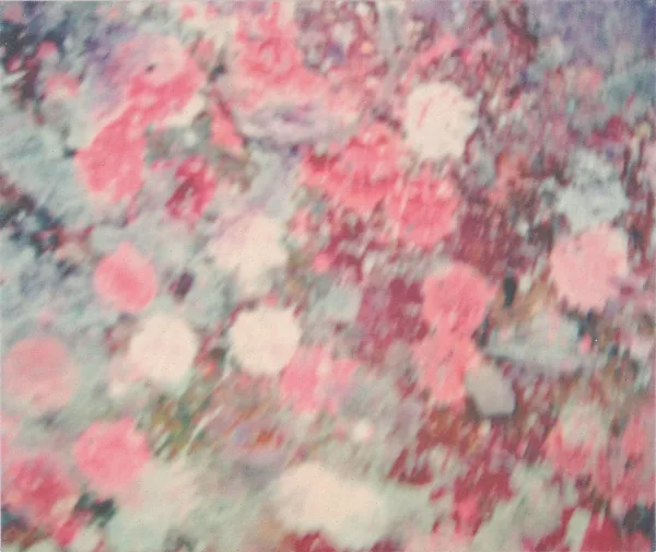 Adrian Schiess — Schnee", 2006