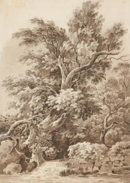Adrian Zingg — Landschaftsausschnitt mit kleinem Wasserfall