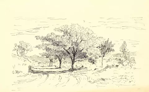 Landschaft