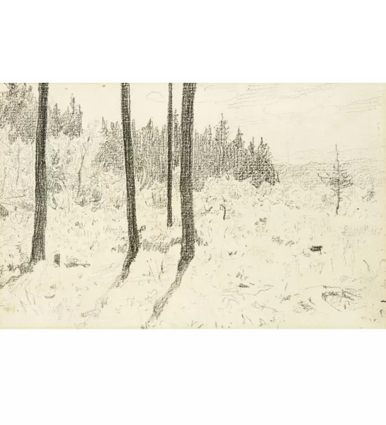 Albert Anker — Waldlichtung / 5 Handstudien (rückseitig)