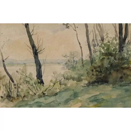 Bord du lac de Bienne