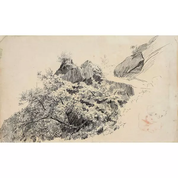 Naturstudie