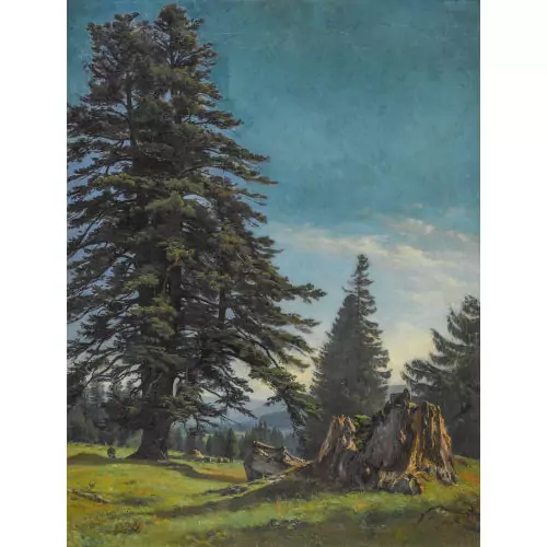 "Sapin du Jura"