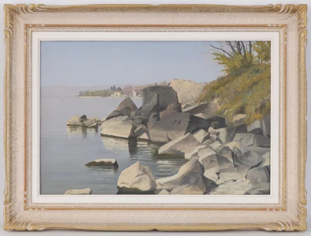 Rochers au bord du Léman