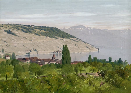 Le Lavaux depuis Cully