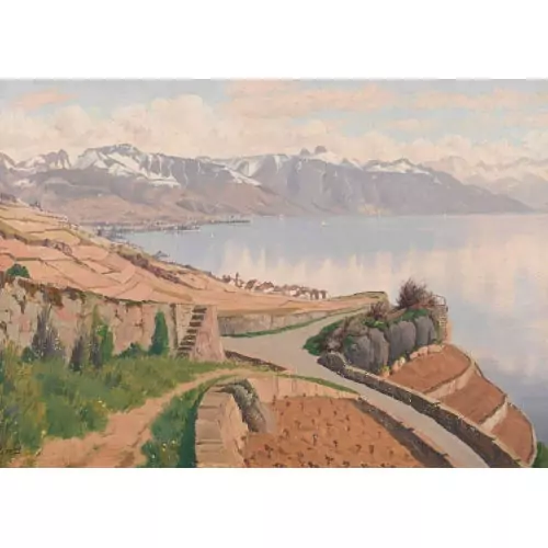 Vue du Lavaux et du lac Léman, près de Rivaz