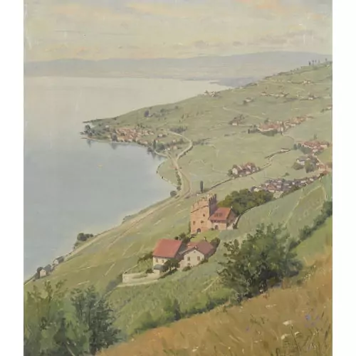 Paysage du Lavaux avec la Tour de Marsens