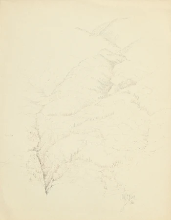 Paysage de montagne