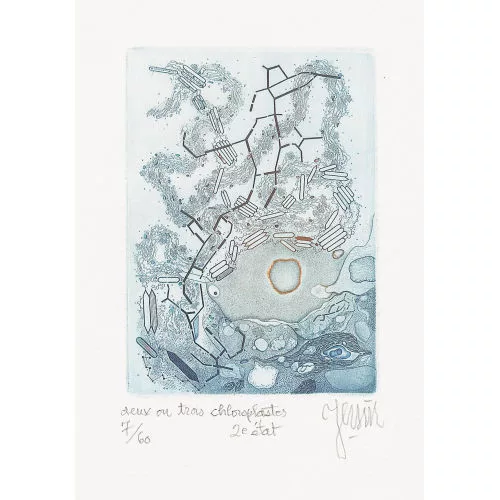 Albert-Edgar Yersin — "Deux ou trois chloroplastes".