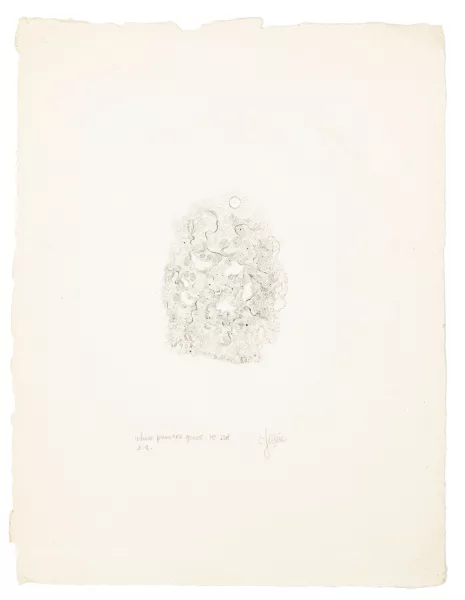 Albert-Edgar Yersin — Where Primerose grows