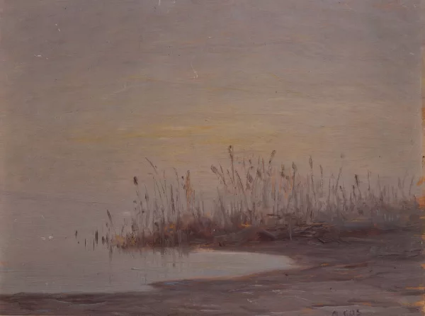 Albert Gos — Marais