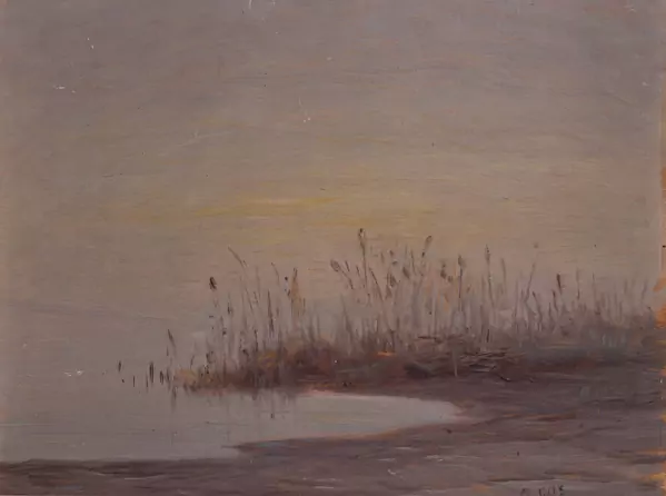 Albert GOS (1852-1942), "Réserve aquatique sur le lac de Neuchâtel" — DognyAuction