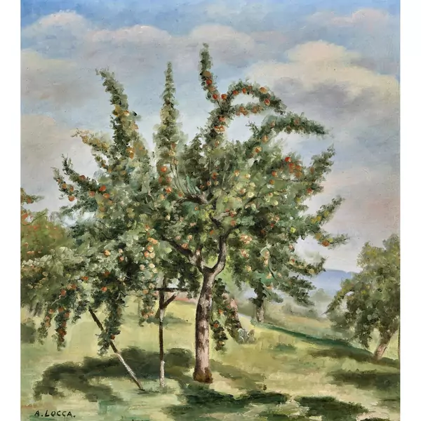 Obstgarten