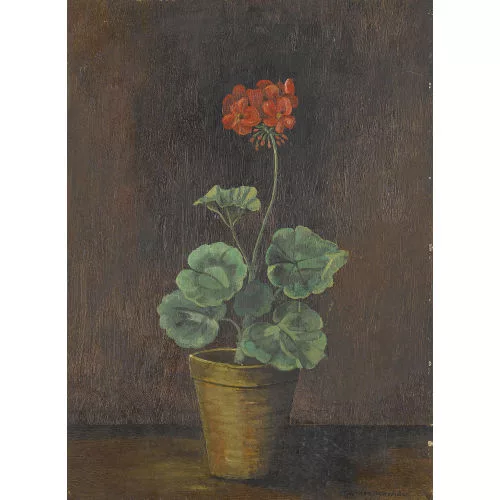 Albert Neuenschwander — Geranie in einem Topf.