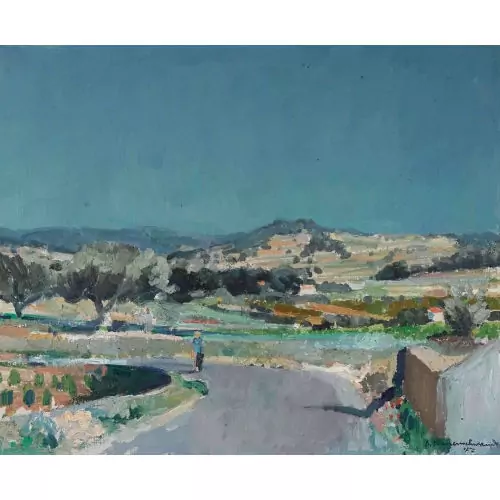 Südliche Landschaft mit Olivenbäumen