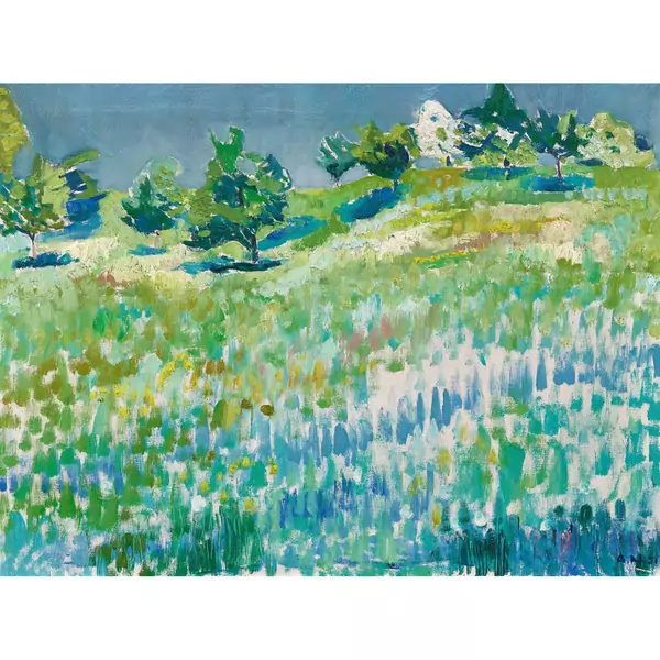 Sonnige Wiesenlandschaft mit Bäumen