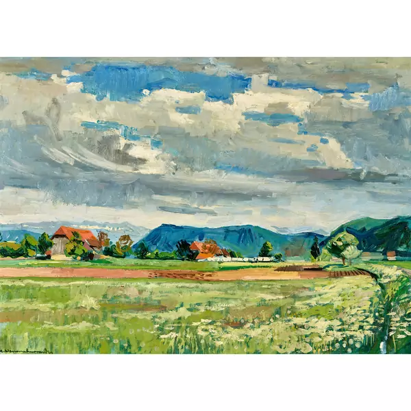 Blick auf den Belpberg