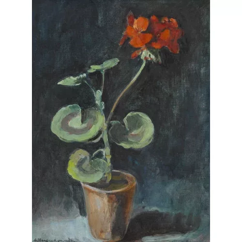 Albert Neuenschwander — Geranie im Topf.