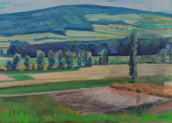 Albert Pfister — Landschaft beim Pfannenstiel, ca. 1970