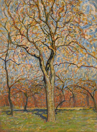 Arbres en fleurs