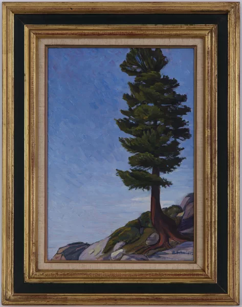 Albert Schmidt — Le cèdre