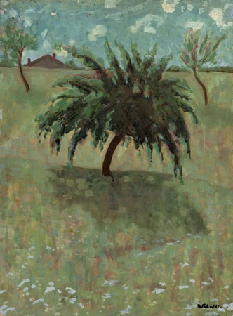 Arbre dans un champs