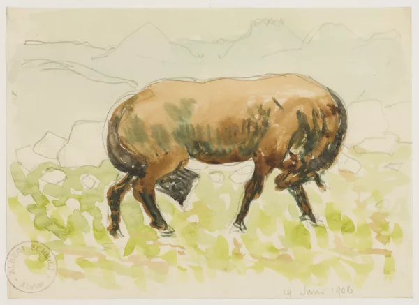 Albert Schmidt — Cheval au pré