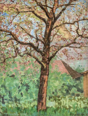 Arbre derrière une maison