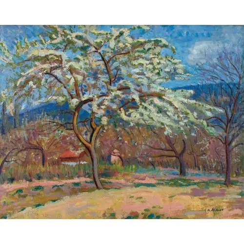 Landschaft mit blühenden Obstbäumen