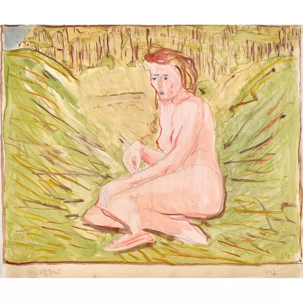 Nu assis dans un pré