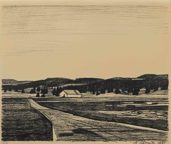 Albert Schnyder — 2 Blätter: Ohne Titel, 1965; Ohne Titel, 1946