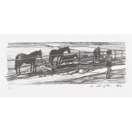 Albert Schnyder — Pferde auf der Weide.
