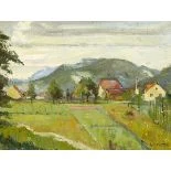 Baselbieter Sommerlandschaft