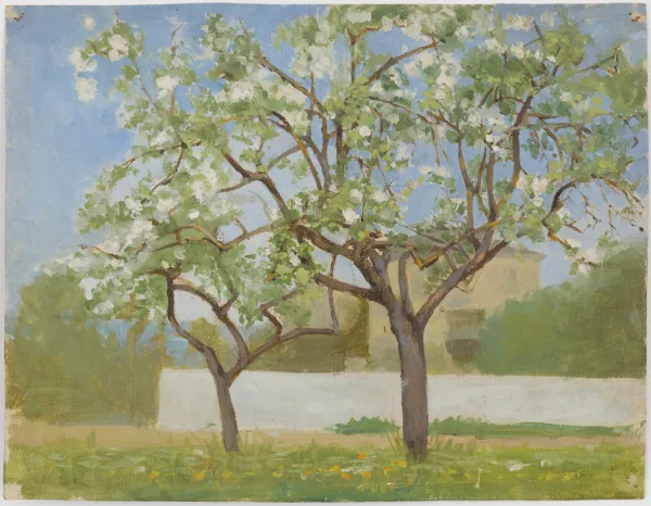 Albert Silvestre — Paysages et villages