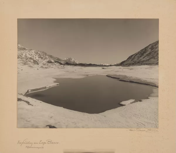 Albert Steiner — Vorfrühling am Lago Bianco