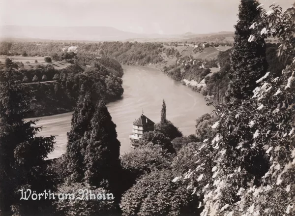 Albert Steiner — Wörth am Rhein