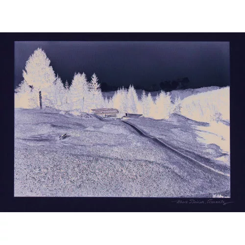 Albert Steiner — Konvolut.