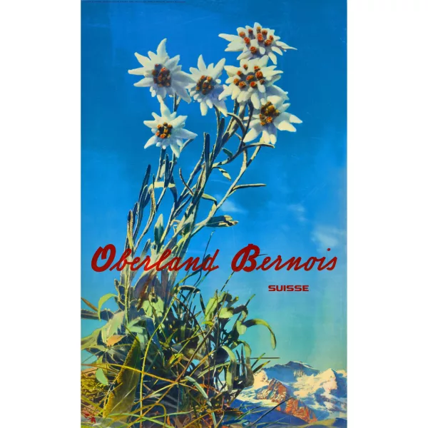 Albert Steiner — "Oberland Bernois".