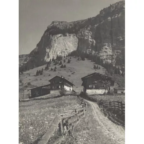 Albert Steiner — Konvolut.