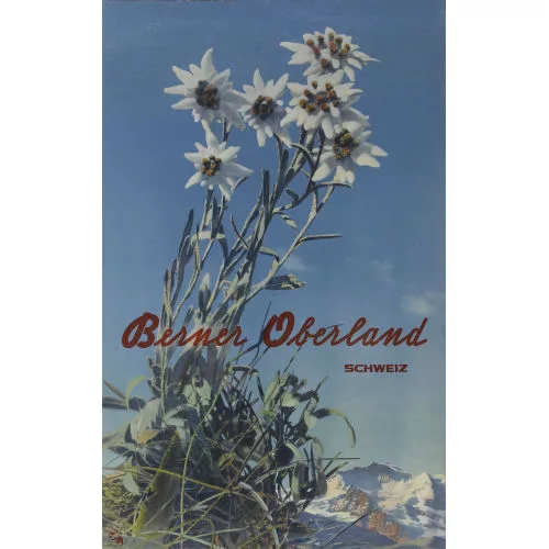 Albert Steiner — "Berner Oberland".